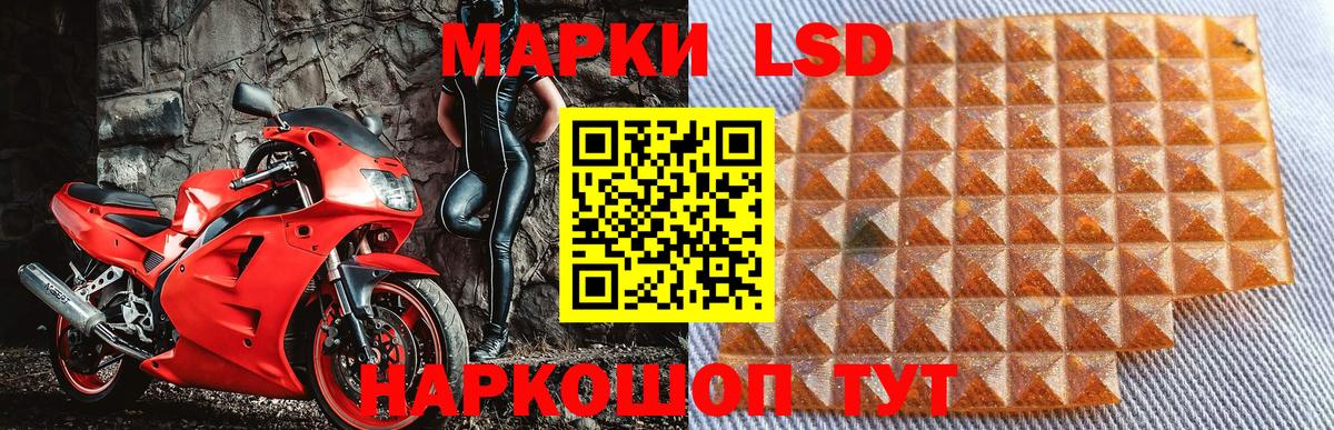 Наркотические марки 1,5мг  Наркотические марки 1,5мг  Якутск  Вход с VPN 