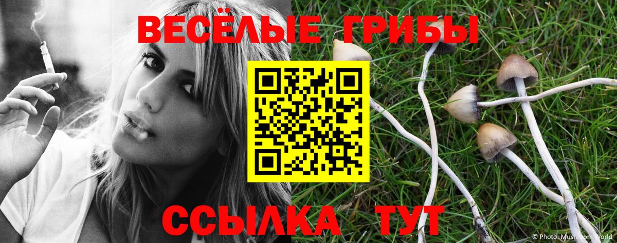 Галлюциногенные грибы MAGIC MUSHROOMS  Вход с VPN  Галлюциногенные грибы Psilocybe  Якутск 